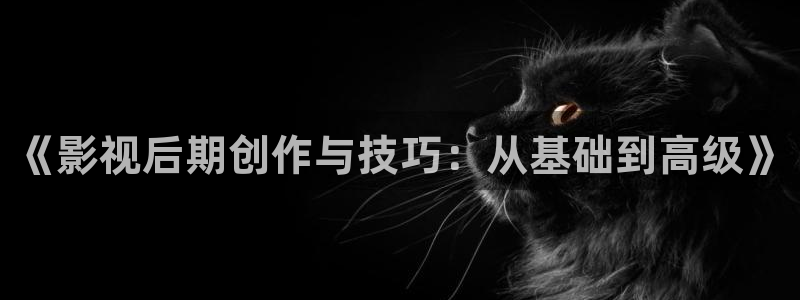 国产精品嫩草69影院：《影视后期创作与技巧：从基础到高级》
