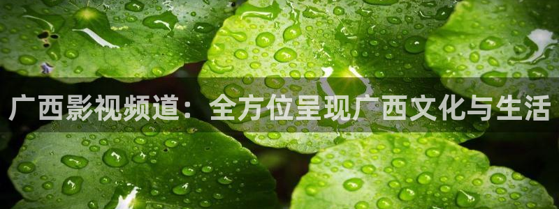 www.嫩草影院.com：广西影视频道：全方位呈现广西文化与生活