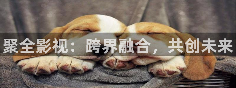 嫩草影院久久国产