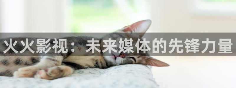 嫩草影院在线国产：火火影视：未来媒体的先锋力量