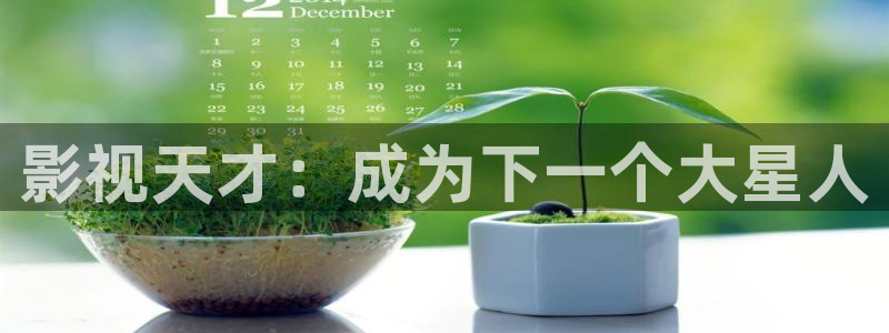 91嫩草影院在线观看：影视天才：成为下一个大星人