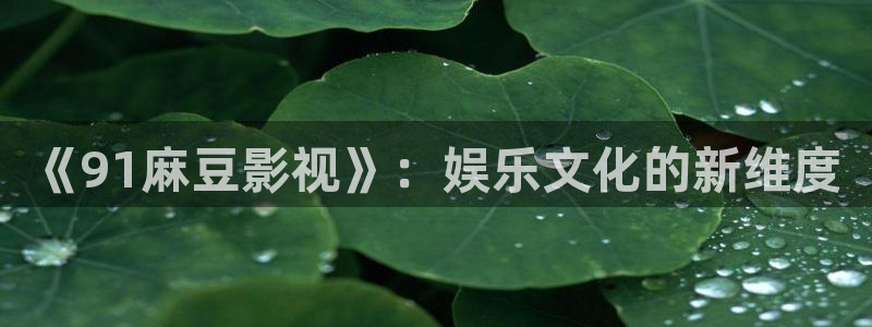 嫩草影院网站进入：《91麻豆影视》：娱乐文化的新维度